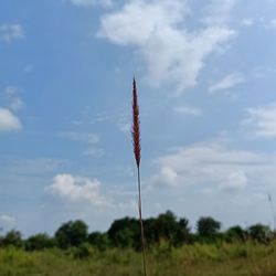 Low angle view of windmill on field against sky