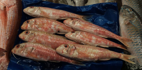 Close-up of fish for sale