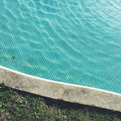 High angle view of grass growing at poolside