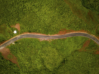 Directly above shot of road passing through green landscape