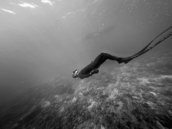 Diver swimming in sea