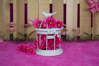 Close-up of pink flowers