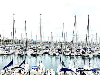 Sailboats moored at harbor against sky