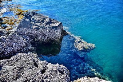 High angle view of rocks on shore