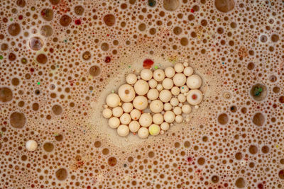 High angle view of coffee beans