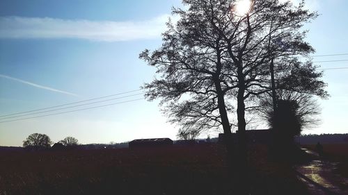 Low angle view of silhouette trees on field against sky