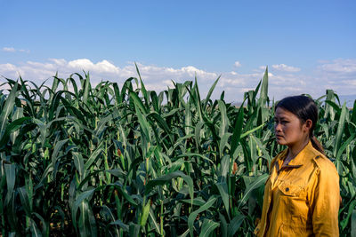 Woman looking away by plants growing in farm