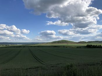 Scenic view of agricultural field against sky