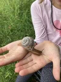 Midsection of person holding shells