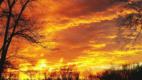 Low angle view of bare tree against cloudy sky