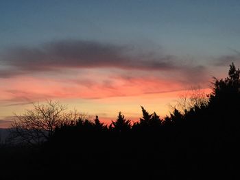 Silhouette of trees at sunset
