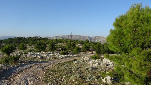 Scenic view of landscape against clear sky