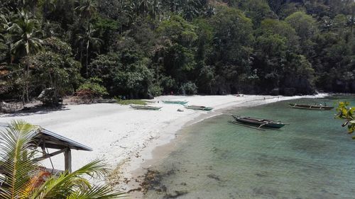 Boats moored on shore against trees