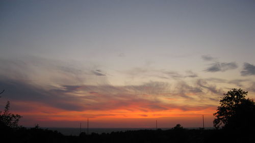 Silhouette trees against sky during sunset