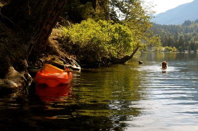 People in lake by trees