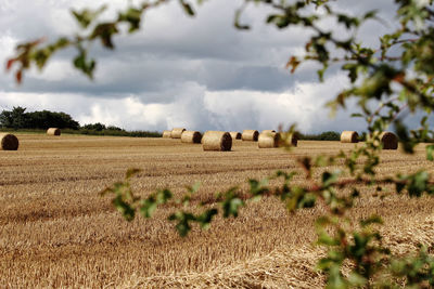 Hay bales on field against sky