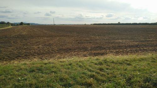 Scenic view of field against sky