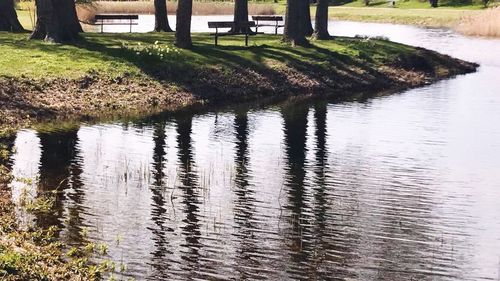 Reflection of trees in lake