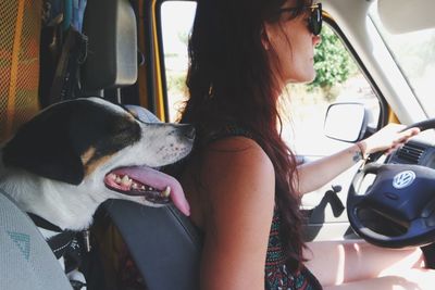 Midsection of woman with dog in car