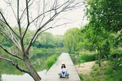 People sitting by plants against trees