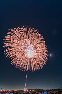 Low angle view of firework display at night