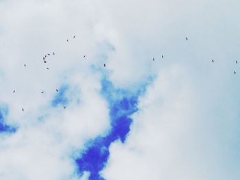 Low angle view of birds flying in sky