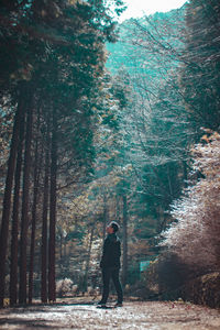 Full length of man standing amidst forest