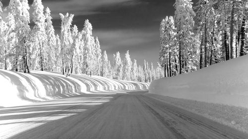 Road amidst snow covered plants against sky