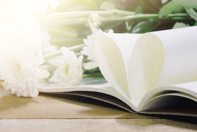 Close-up of white flower on table