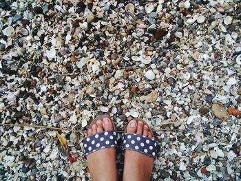 Low section of woman standing on pebbles and broken shells at beach