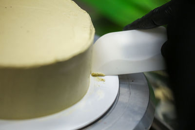 Close-up of dessert in plate