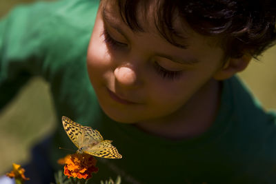 Close-up of boy looking at butterfly pollinating flower