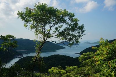 nature