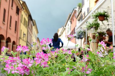 Pink flowers blooming by woman standing amidst buildings