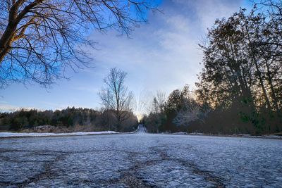 Road amidst bare trees against sky