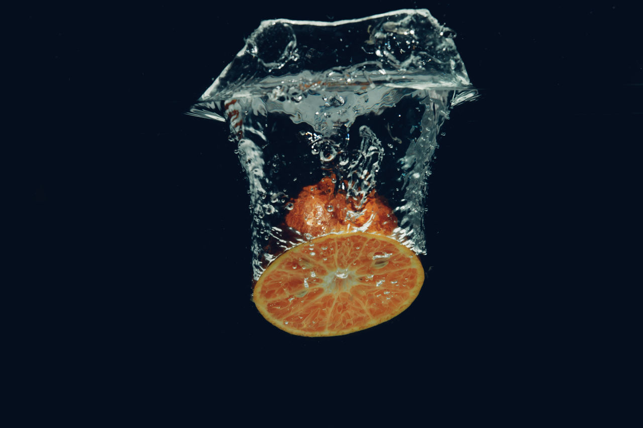 black background, studio shot, water, no people, indoors, food and drink, fruit, sea, nature, close-up, motion, underwater, orange color, food, citrus fruit, animal, animal themes