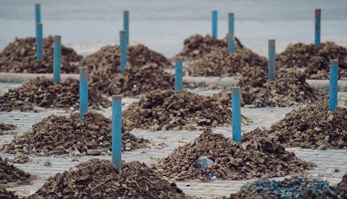 Blue pipes in land with debris