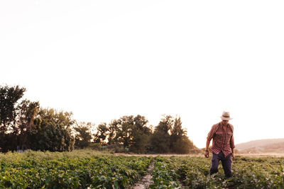 Man standing on agricultural field