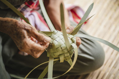 Close-up of hand holding plant