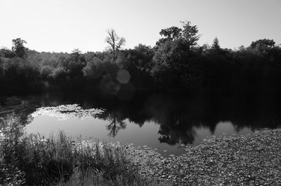 Reflection of trees in lake against sky