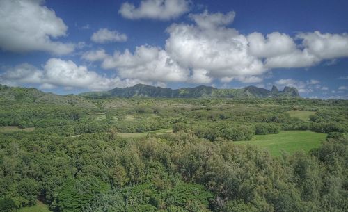 Scenic view of green landscape against sky