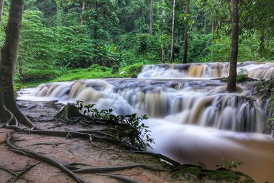 Scenic view of waterfall in forest