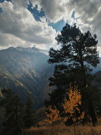 Scenic view of tree mountains against sky