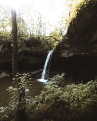 Scenic view of waterfall in forest