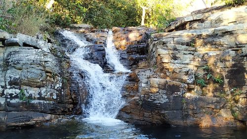 Scenic view of waterfall in forest