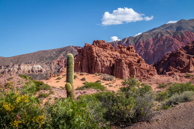 Quebrada de la