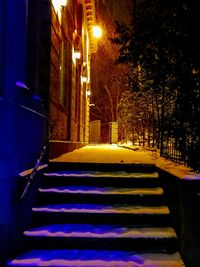 Stairs along illuminated trees at night