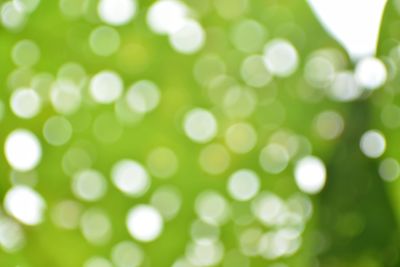Defocused image of sunlight