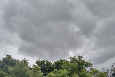 Low angle view of trees against cloudy sky