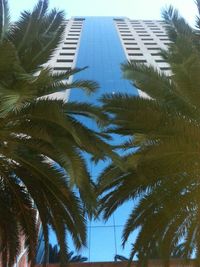 Low angle view of tall building